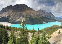81. Peyto Lake