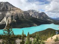 82. Peyto Lake