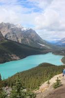 84. Peyto Lake