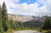 85. Landschaft entlang des Icefield Parkway