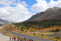 88. Am Athabasca Gletscher