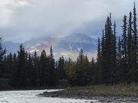 92. Am Athabasca River