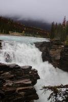 96. An den Athabasca Falls