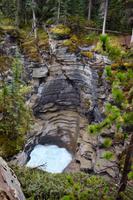 97. An den Athabasca Falls