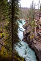 98. An den Athabasca Falls