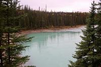 99. An den Athabasca Falls