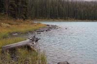 121. Spirit Island auf dem Maligne Lake