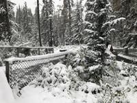124. Winterwanderung am Maligne Canyon