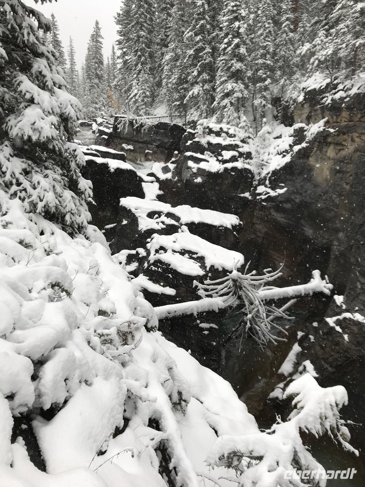 126. Winterwanderung am Maligne Canyon