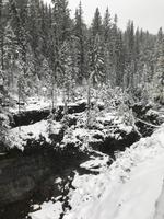 127. Winterwanderung am Maligne Canyon