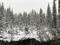 129. Winterwanderung am Maligne Canyon