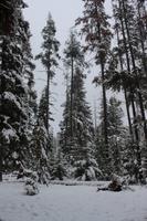 137. Am Pyramid Lake