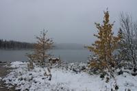 149. Am Pyramid Lake