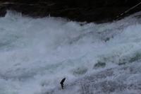 182. Bailey’s Chute