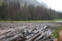 218. Staudamm am Duffey Lake