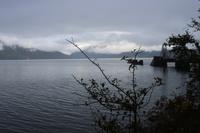 223. Fährhafen Cove