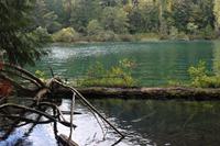 242. MacMillan Provincial-Park