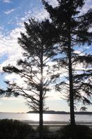 264. Pazifik.-Strand beim Hotel