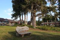 267. Pazifik.-Strand beim Hotel