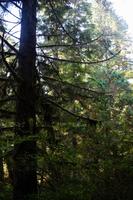 271. Pacific-Rim-Nationalpark