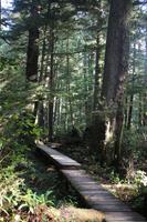 277. Pacific-Rim-Nationalpark