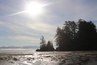 281. Pacific-Rim-Nationalpark - Pazifikstrand