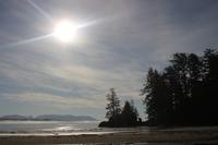 282. Pacific-Rim-Nationalpark - Pazifikstrand