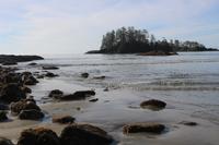 290.l Pacific-Rim-Nationalpark - Pazifikstrand