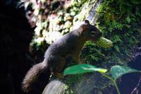 293. Pacific-Rim-Nationalpark