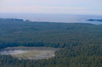 297. Scenic Flight über Tofino