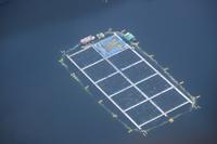 299. Scenic Flight über Tofino