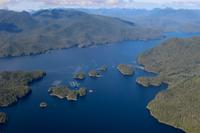 317. Scenic Flight über Tofino
