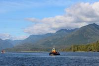 328. Bear-Watching in Tofino