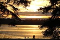 369. Sonnenuntergang am Pazifik (Tofino)