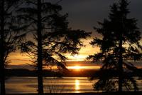 371. Sonnenuntergang am Pazifik (Tofino)