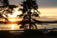 372. Sonnenuntergang am Pazifik (Tofino)