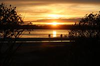 374. Sonnenuntergang am Pazifik (Tofino)