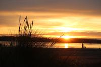 378. Sonnenuntergang am Pazifik (Tofino)