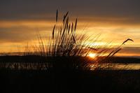 379. Sonnenuntergang am Pazifik (Tofino)