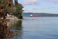 383. Blick auf den Pazifik aus Ladysmith
