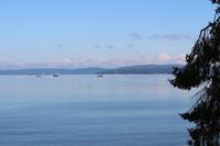 385. Blick auf den Pazifik aus Ladysmith