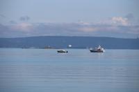 386. Blick auf den Pazifik aus Ladysmith