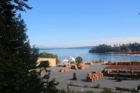 388. Blick auf den Pazifik aus Ladysmith