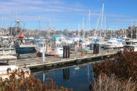 406. Fisherman's Wharf in Victoria