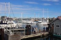 407. Fisherman's Wharf in Victoria