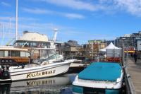 408. Fisherman's Wharf in Victoria