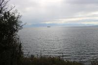 413. Blick auf die Küste der USA