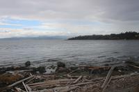 415. Victoria - Blick auf die USA