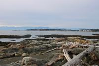 421. Victoria Küste