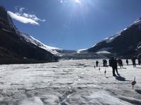 Auf dem Athabasca Gletscher